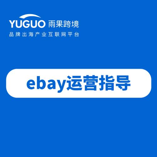 ebay平台活动是什么,ebay支付是什么平台