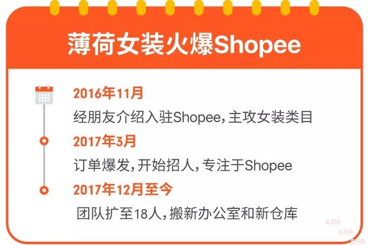 shopify独立站中东,shopify上的独立站