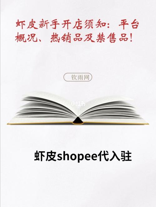 shopify自建站盈利,shopify自建站专区